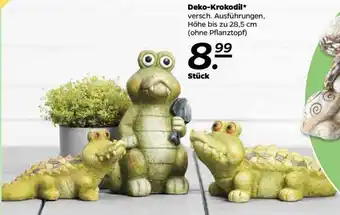 NETTO Deko Krokodil Angebot