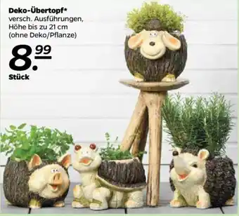 NETTO Deko übertopf Angebot