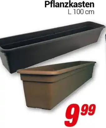 CENTERSHOP Pflanzkasten L 100 cm Angebot