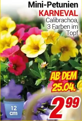 CENTERSHOP Mini-Petunien KARNEVAL Angebot