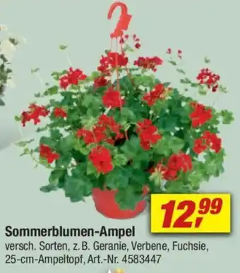 toom Baumarkt Sommerblumen-Ampel Angebot