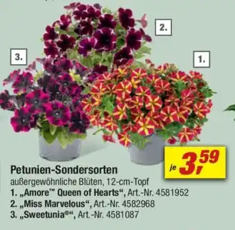 toom Baumarkt Petunien-Sondersorten 1. „Amore Queen of Hearts" Angebot