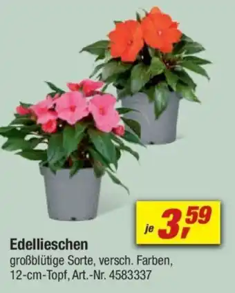 toom Baumarkt Edellieschen Angebot