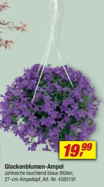 toom Baumarkt Glockenblumen-Ampel Angebot