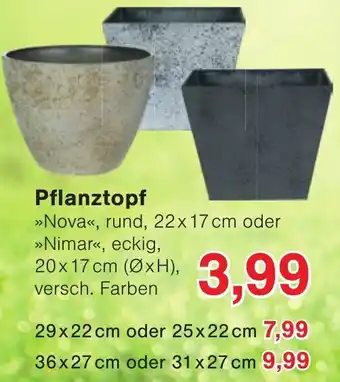 Wiglo Wunderland Pflanztopf Angebot