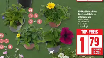 Edeka EDEKA Heimatliebe Beet- und Balkon- pflanzen-Mix 11cm Topf Angebot