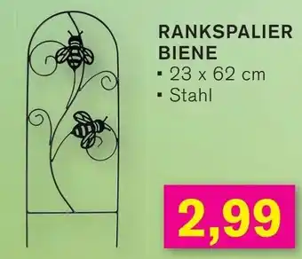 KODi RANKSPALIER BIENE Angebot