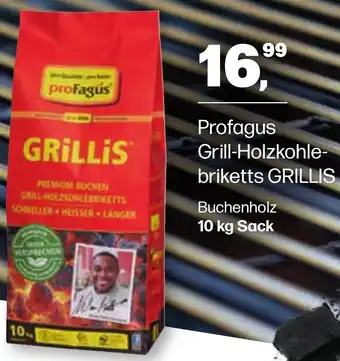 Handelshof Profagus Grill-Holzkohlebriketts GRILLIS 10 kg Sack Angebot