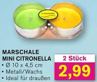 KODi MARSCHALE MINI CITRONELLA 2 Stück Angebot