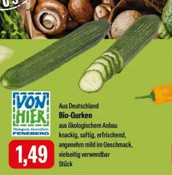 Feneberg Bio-Gurken Angebot