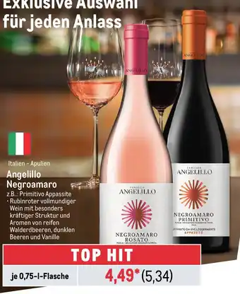 METRO Angelillo Negroamaro je 0,75-1-Flasche Angebot