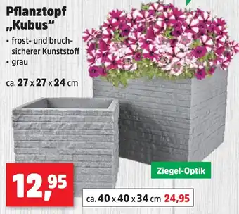 Thomas Philipps Pflanztopf ,,Kubus“ Angebot