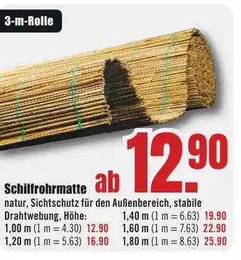 B1 Discount Baumarkt Schilfrohrmatte Angebot