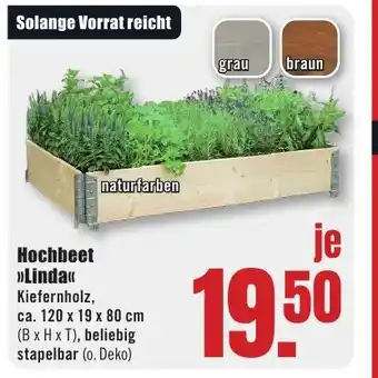 B1 Discount Baumarkt Hochbeet "Linda" Angebot