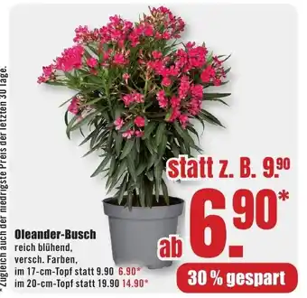 B1 Discount Baumarkt Oleander-Busch Angebot