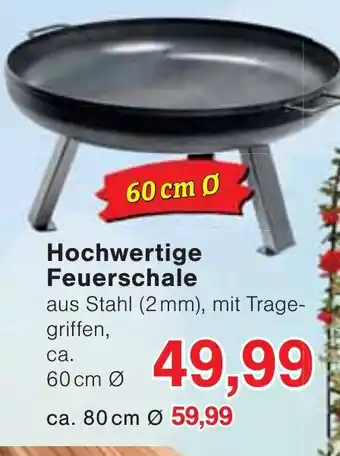 Wiglo Wunderland Hochwertige Feuerschale 60 cm Angebot