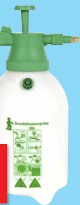 Thomas Philipps Druckblumenspritze Angebot