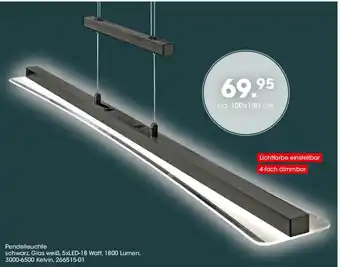 Möbel Martin Pendelleuchte Angebot