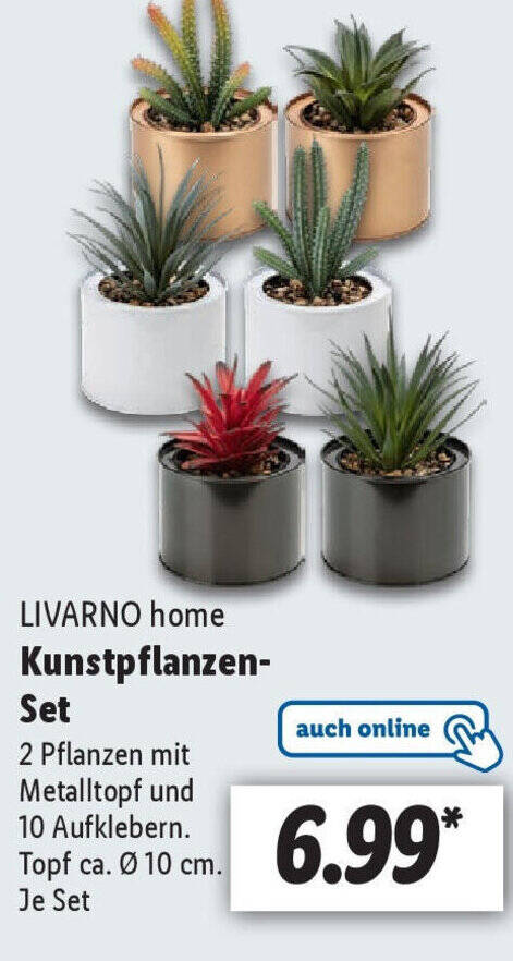 LIVARNO home Kunstpflanzen- Set Angebot bei Lidl