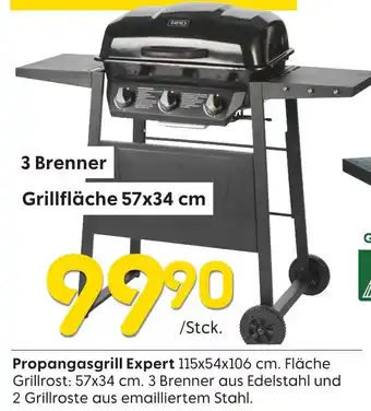 Rusta Propangasgrill Expert Angebot