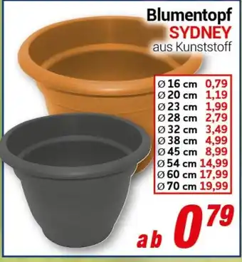 CENTERSHOP Blumentopf SYDNEY Angebot