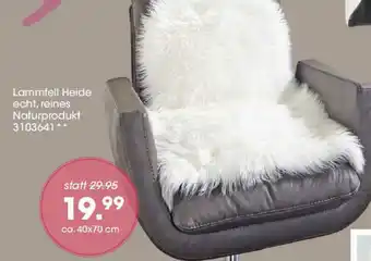 Möbel Martin Lammfell Heide Angebot
