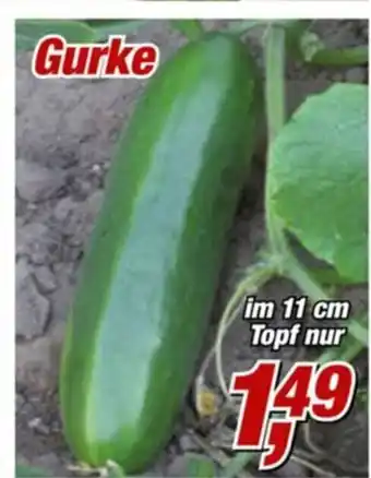 Posten Börse Gurke Angebot