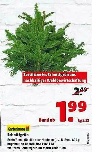 Hagebau Schnittgrün Angebot