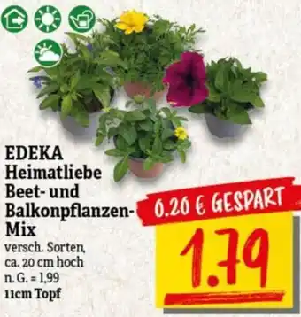 NP Discount EDEKA Heimatliebe Beet-und Balkonpflanzen Mix 11cm Topf Angebot