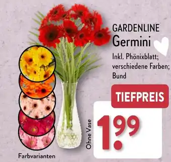 Aldi Nord GARDENLINE Germini Angebot