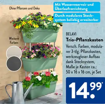 Aldi Süd BELAVI Trio-Pflanzkasten Angebot