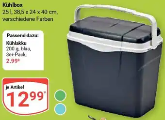 Globus Kühlbox Angebot