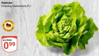 Globus Kopfsalat Angebot