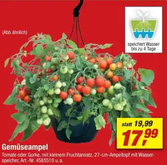 toom Baumarkt Gemüseampel Angebot