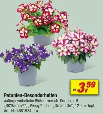 toom Baumarkt Petunien-Besonderheiten Angebot