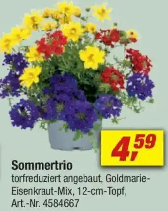 toom Baumarkt Sommertrio Angebot