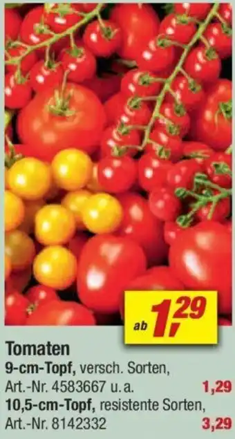 toom Baumarkt Tomaten Angebot