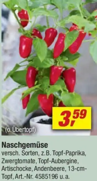 toom Baumarkt Naschgemüse Angebot