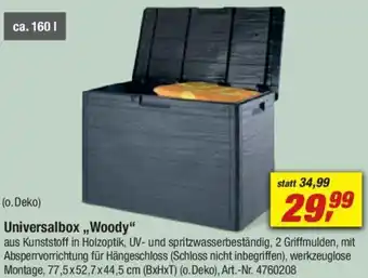 toom Baumarkt Universalbox ,,Woody" Angebot