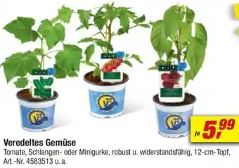 toom Baumarkt Veredeltes Gemüse Angebot