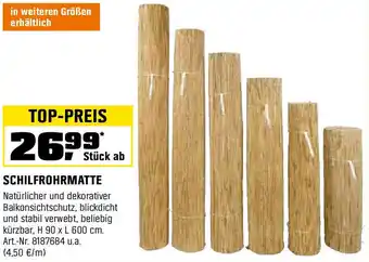 OBI SCHILFROHRMATTE Angebot