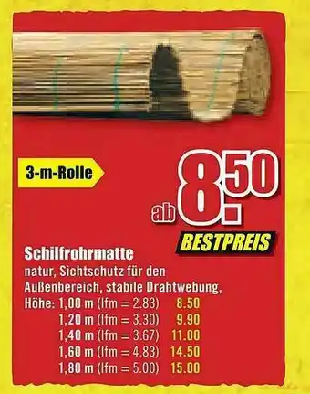 B1 Discount Baumarkt Schilfrohrmatte Angebot