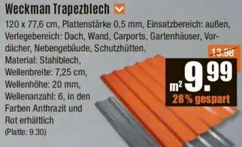 V Baumarkt Weckman Trapezblech Angebot