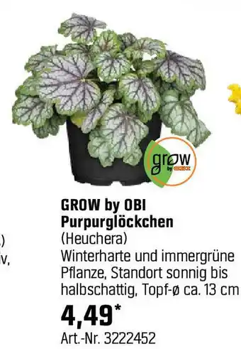 OBI GROW by OBI Purpurglöckchen (Heuchera) Angebot