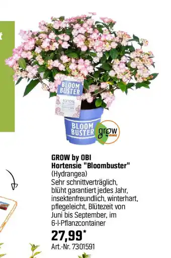 OBI GROW by OBI Hortensie "Bloombuster" (Hydrangea) Angebot