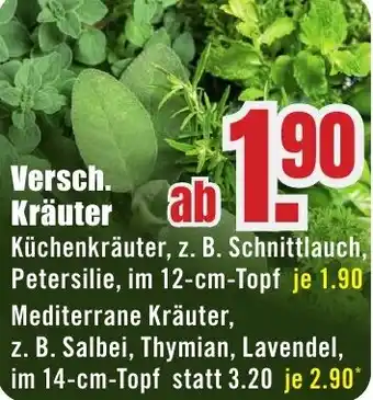 B1 Discount Baumarkt Versch. Kräuter Angebot