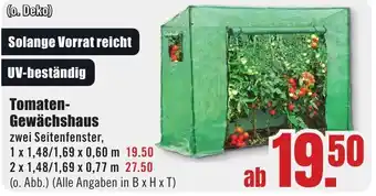 B1 Discount Baumarkt Tomaten- Gewächshaus Angebot