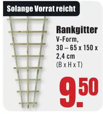 B1 Discount Baumarkt Rankgitter Angebot