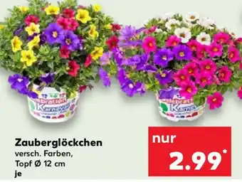 Kaufland Zauberglöckchen Angebot