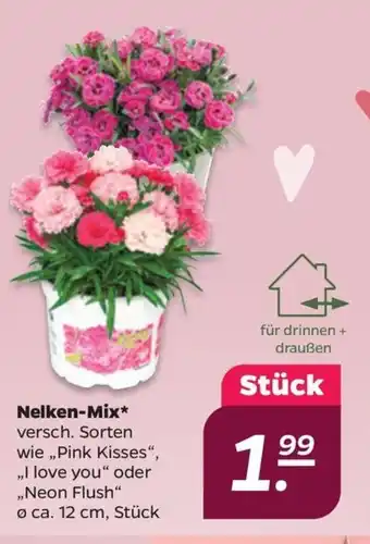 Netto Nelken-Mix* Angebot